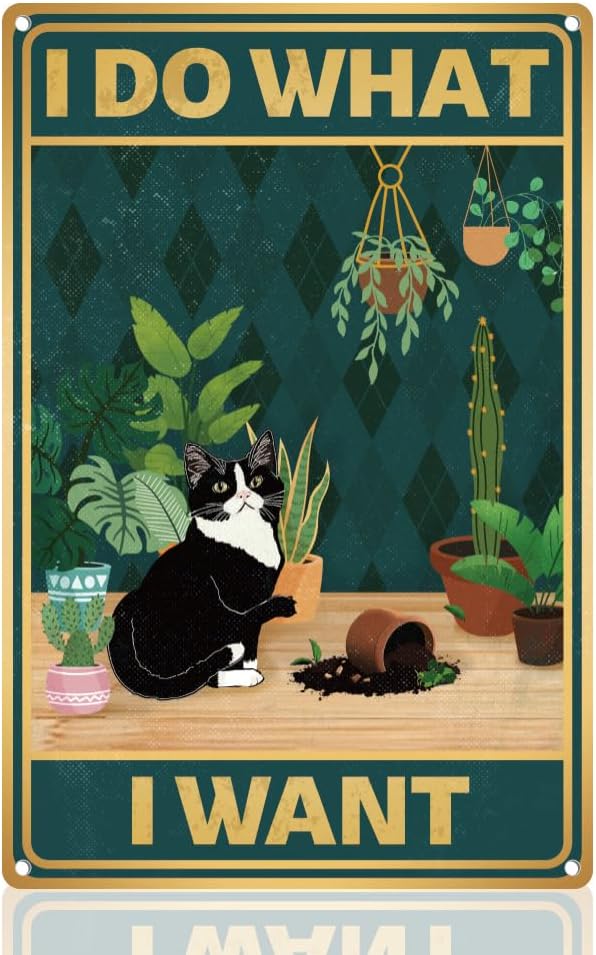 Vintage Fashion Posters - Y1, Niedliches Katzen-Schild „Ich breche Blumentopf